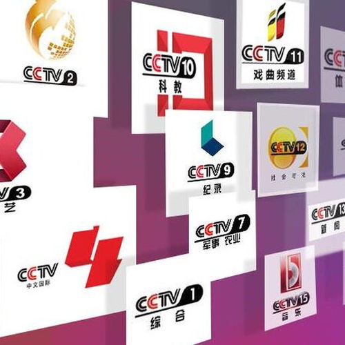 專業廣告代理服務 一站式解決您的品牌傳播需求
